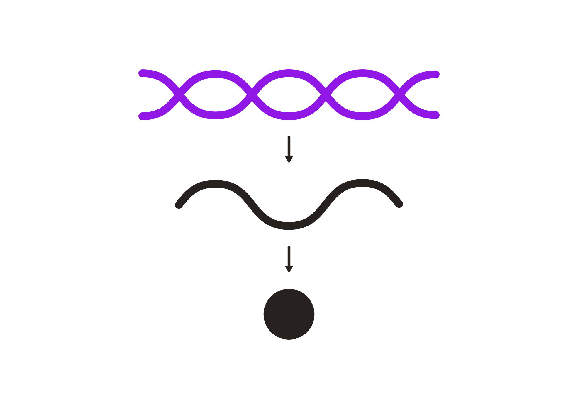 DNA service with HLA typing