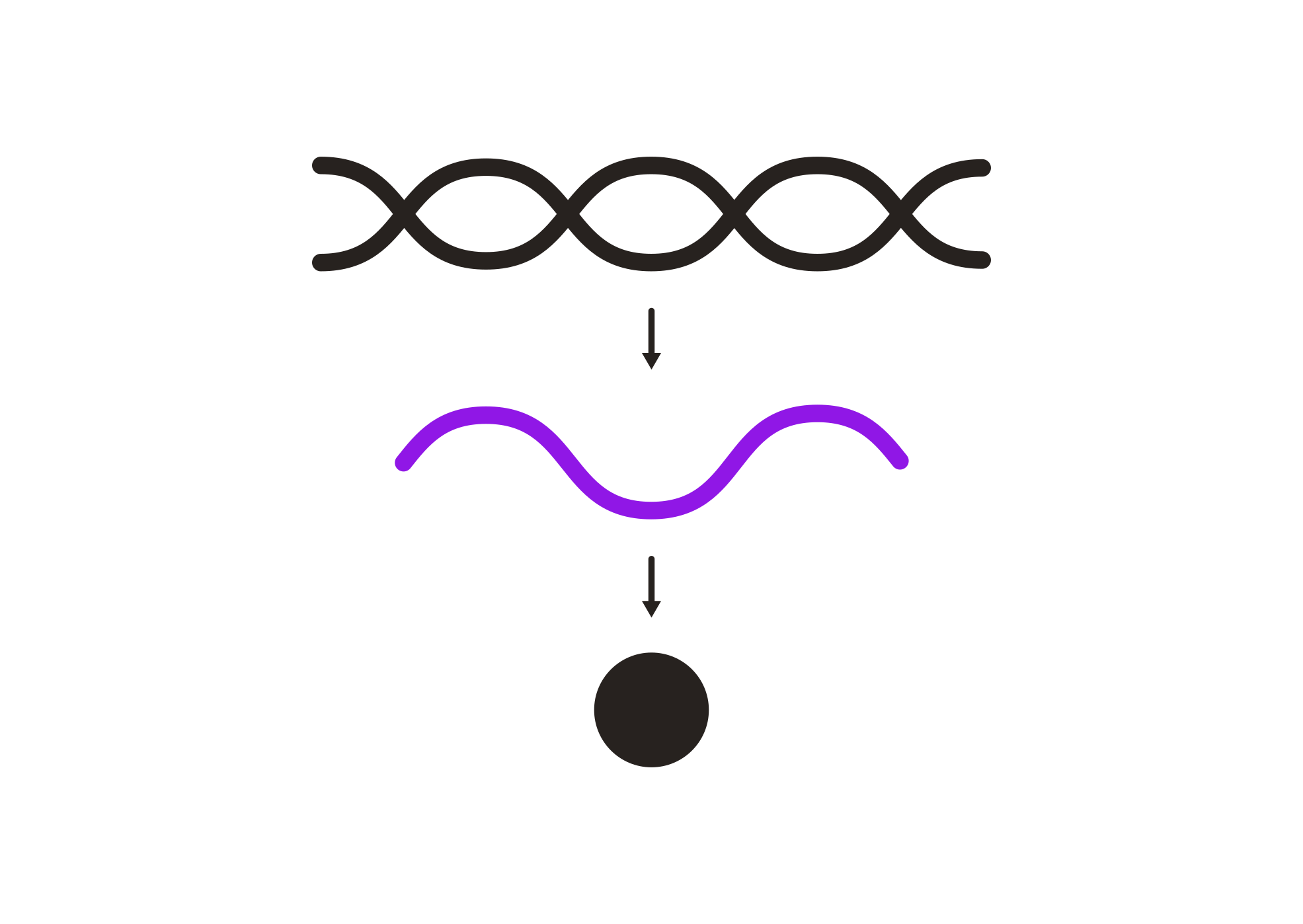 RNA service with Immunogram